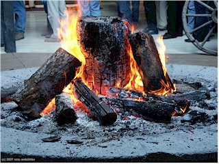 [ huge logs in the fireplace at the WWW2007 banquet ]